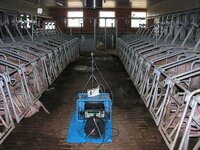 Dust and gas measurements in animal house air Dust and gas measurements in animal house air