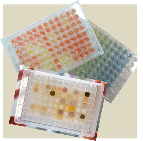 Klicken für eine Vergrösserung Indikatorplatten