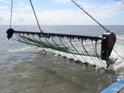 Fangtechnische Optimierungen in der Nordsee-Krabbenfischerei