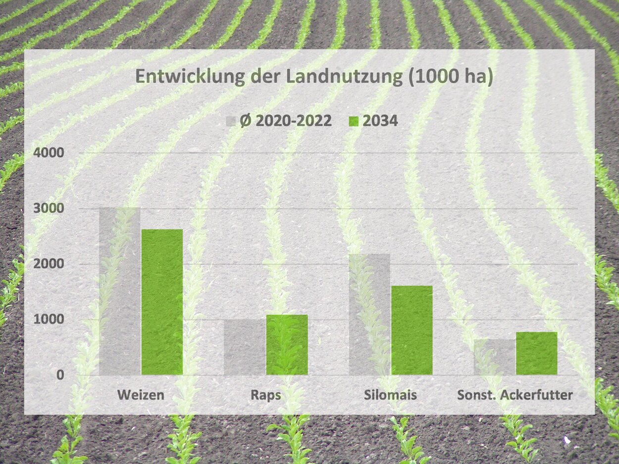 Über einem Feld mit jungen Pflanzen liegt ein Diagramm das die Entwicklung von Weizen, Raps, Mais und sonstigem Ackerfutter zeigt. 