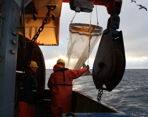 A plankton net is lifted onto the deck of the research vessel