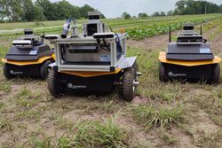 Robotik auf der digitalen Weide