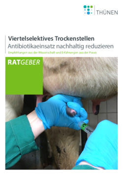 Klicken für eine Vergrösserung