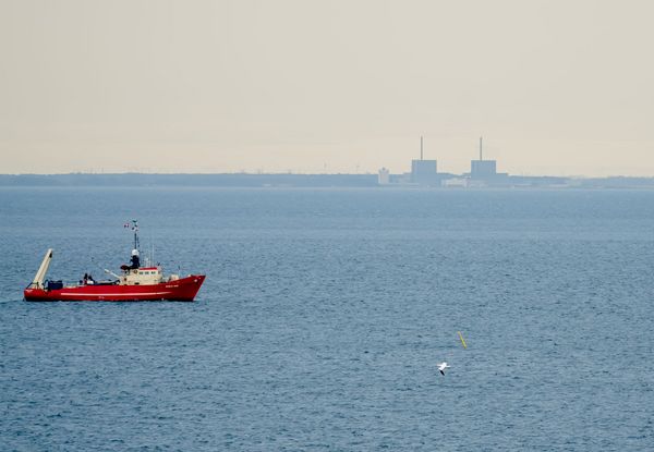 Ein roter Fischkutter fährt im Öresund in Sichtweite des Atomkraftwerks Barsebäk entlang.