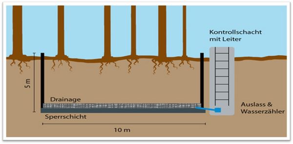 Schematic representation of a large lysimeter with trees on the Britz intensive monitoring area