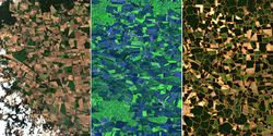I spy with my little eye: automated detection of agricultural parcels and crops using satellite images