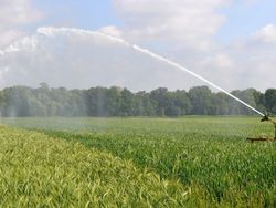 LAWAMAD – Landwirtschaftliches Wassermanagement in Deutschland