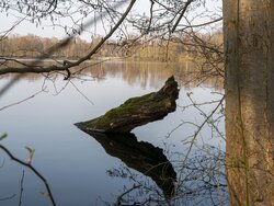 Naturschutz nach Konjunkturlage ist eine schlechte gesellschaftliche Investition