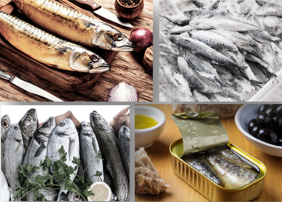 marinierter, konservierter, geräucherter, gefrorener oder frischer Fisch 