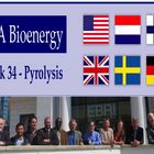 IEA_Bioenergy_Task_34 (&copy;&nbsp; IEA Bioenergy)