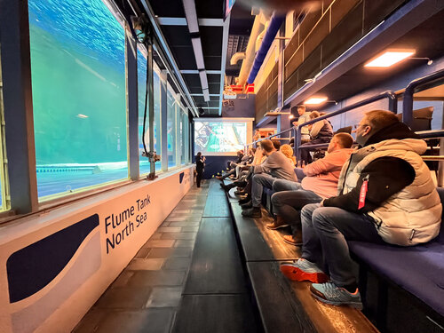 Workshopteilnehmende sitzen vor der großen Scheibe und beobachten ein Baumkurrenmodell im Wasser.