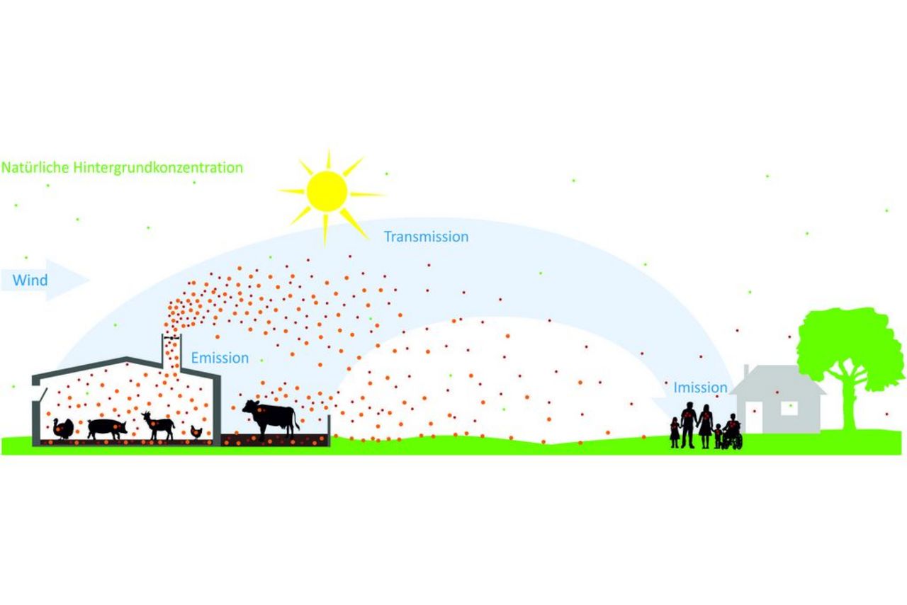 Wirkungskette von Bioaerosolen aus der Tierhaltung
