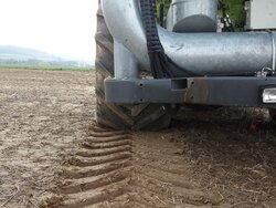 Intact soil despite heavy machinery