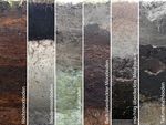 Sechs  Bodenprofile der verschiedenen Moorböden. 