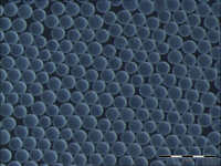 Alumina beads (sol-gel method), 250 µm