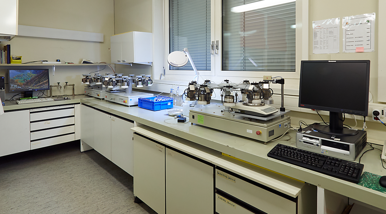 [Translate to English:]