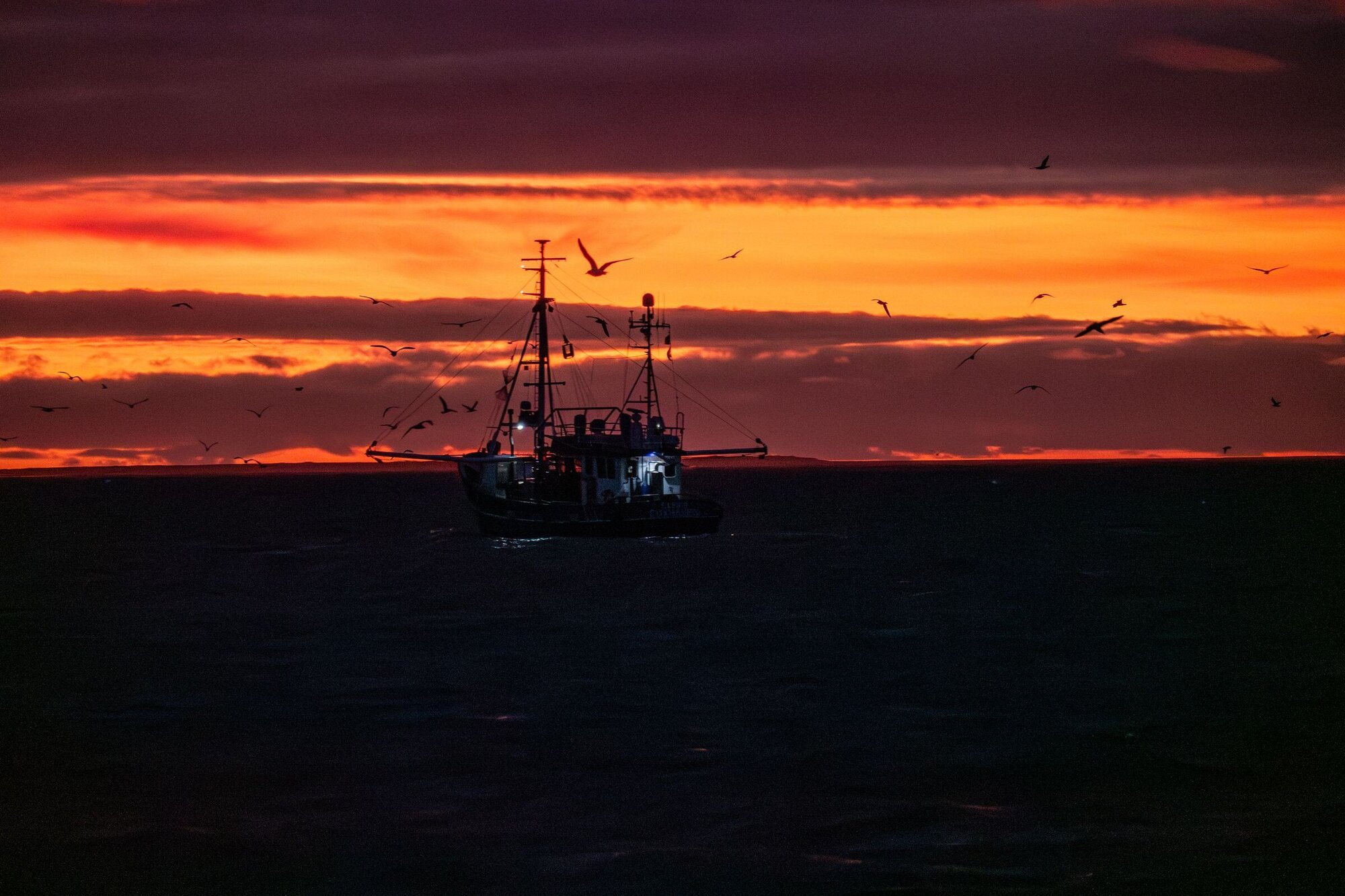 Krabbenkutter beim Sonnenuntergang mit Möwenbegleitung Ein im halbdunklen fischender Krabbenkutter vor einem orangen Himmel.