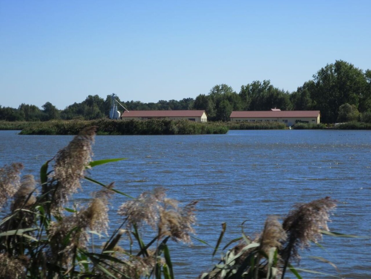 riesige Karpfenteiche im Barycz Tal