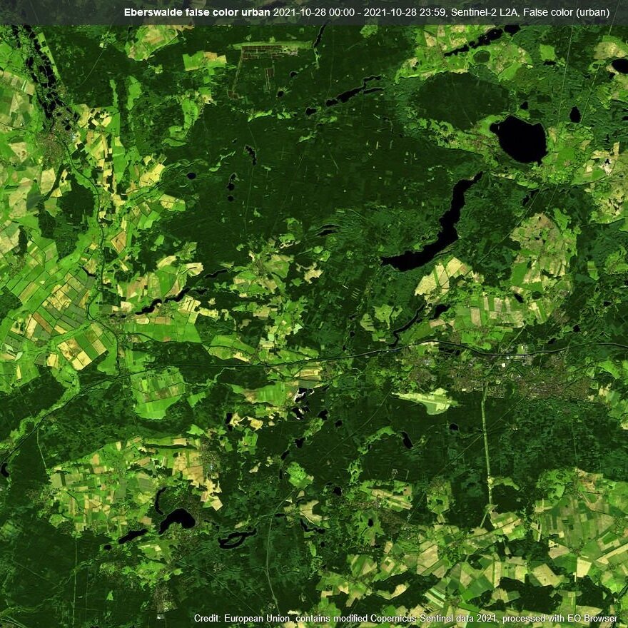 Das Bild zeigt eine bearbeitete Satellitenaufnahme, auf der Waldfläche zu erkennen ist.