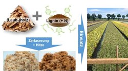 Wood Fibers as peat substitutes