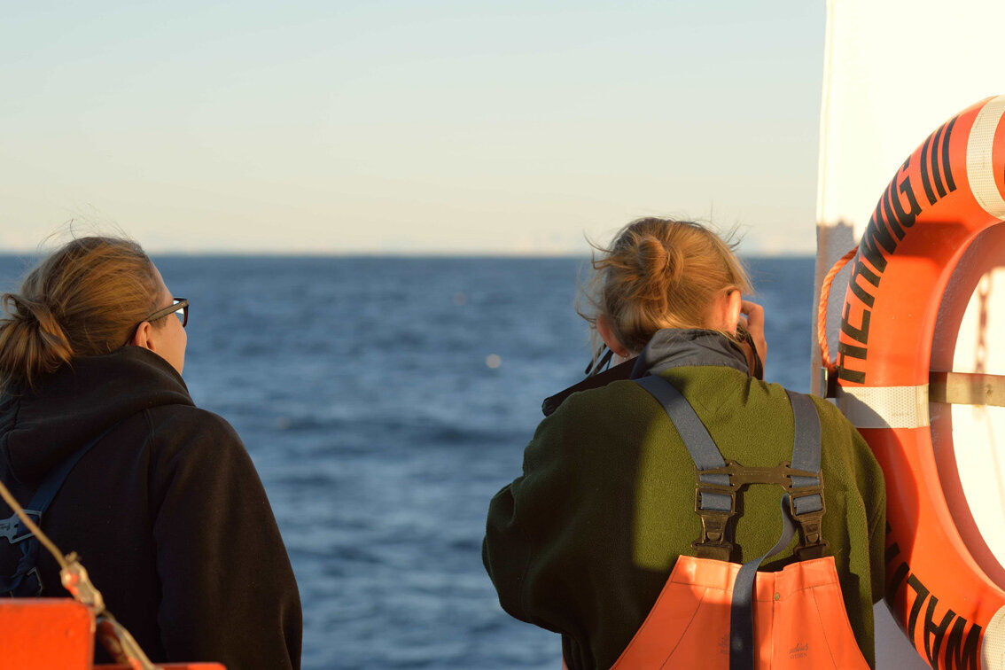 Die Landsilhouette ist endlich in Sicht!