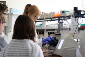 Stefanie Palczewski führt durch die DNA-Extraktion