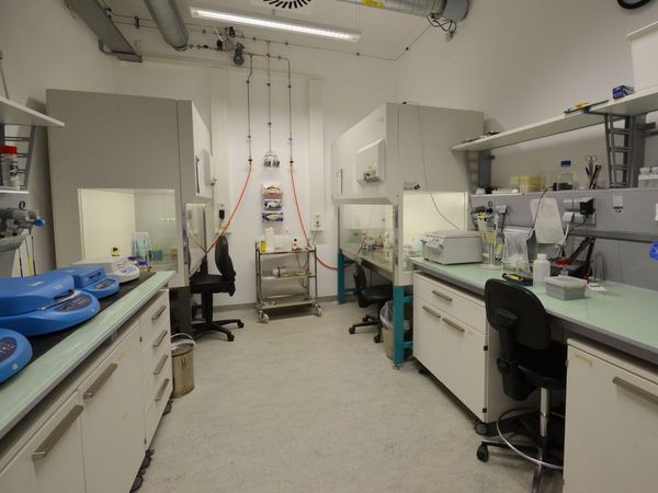 Labor B5 - Steriltechnik