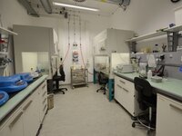 Lab B 5 – sterile technology Lab B 5 – sterile technology