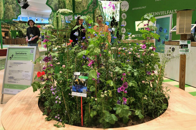 Bunte Ackerwildkräuter sind in einem Beet in der BMEL-Halle gepflanzt.