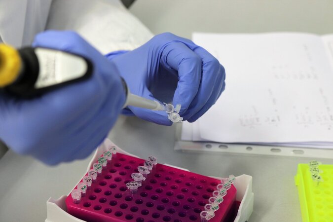 Hands with violet gloves can be seen using a micropipette to transfer a liquid into a reaction tube. On the table are experimental instructions and racks with further reaction tubes.