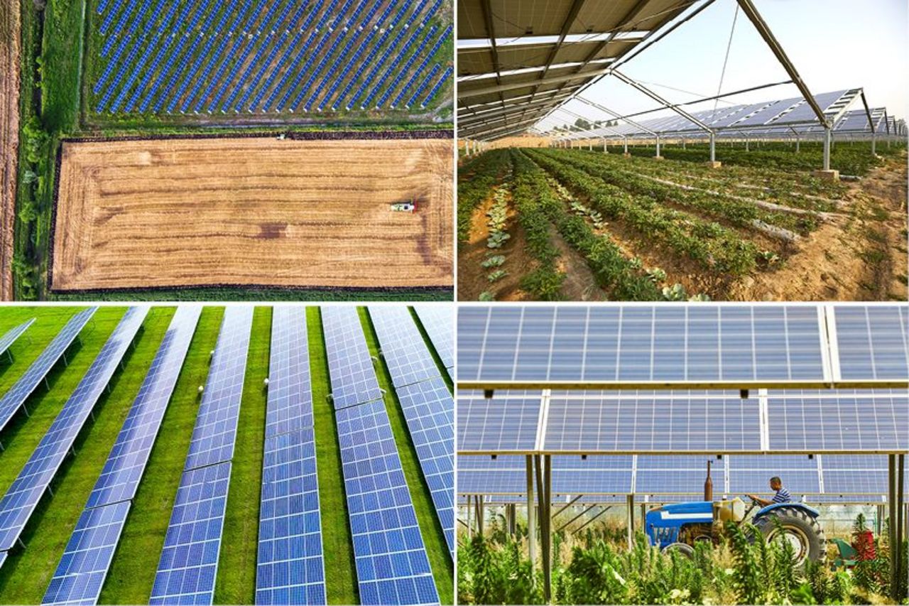 Verschiedene Agri-Photovoltaik Anlagen