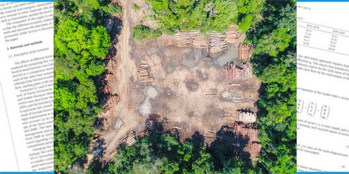 Eine Luftaufnahme auf einen Wald mit einer großen freien Fläche in der Mitte mit mehreren Poltern/Holzstammstapeln.