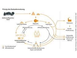 Materialeffizienz und Kreislaufwirtschaft