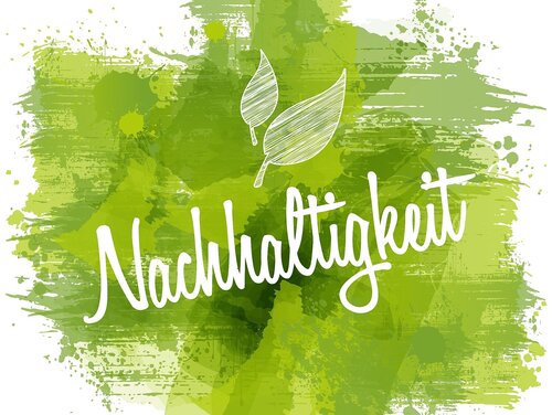 Nachhaltigkeit Schriftzug Nachhaltigkeit auf grünem Hintergrund