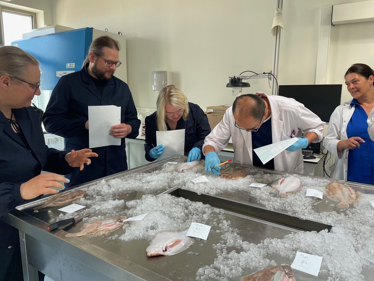 Mitten bei der Arbeit zur Reifegradbestimmung beim Limanden Workshop Kolleginnen und Kollegen bei der Reifegradbestimmung im Labor