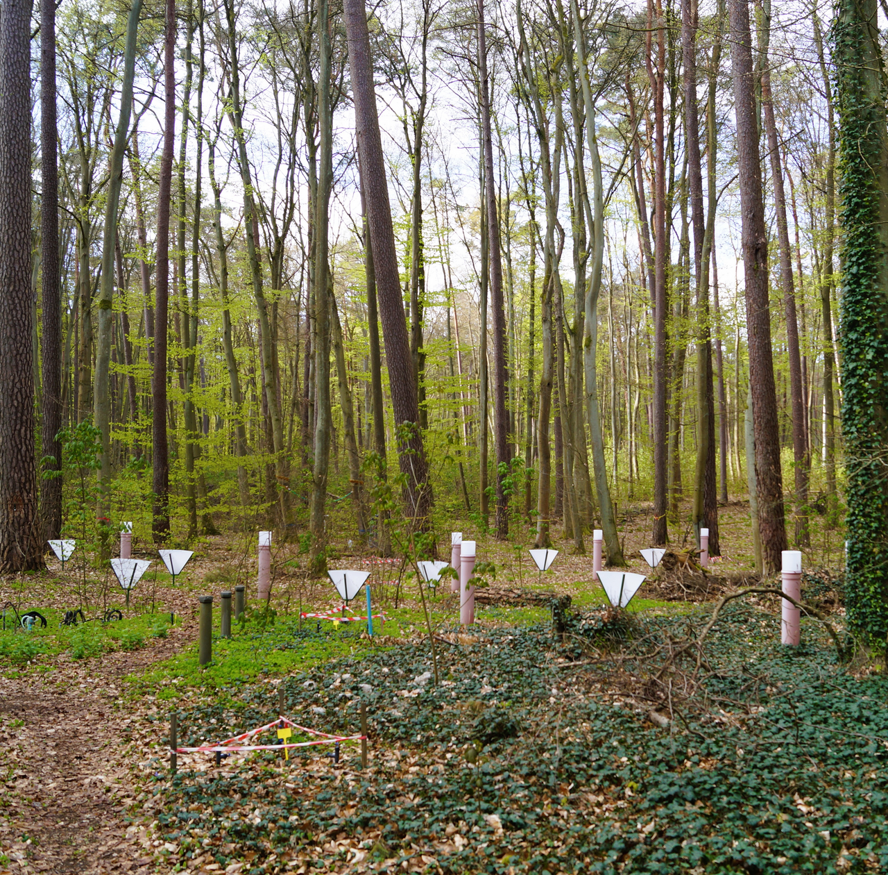 Scattering and deposition meters on the investigation area of the Integrated Monitoring Program at Stechlinsee, Neuglobsow (Brandenburg).