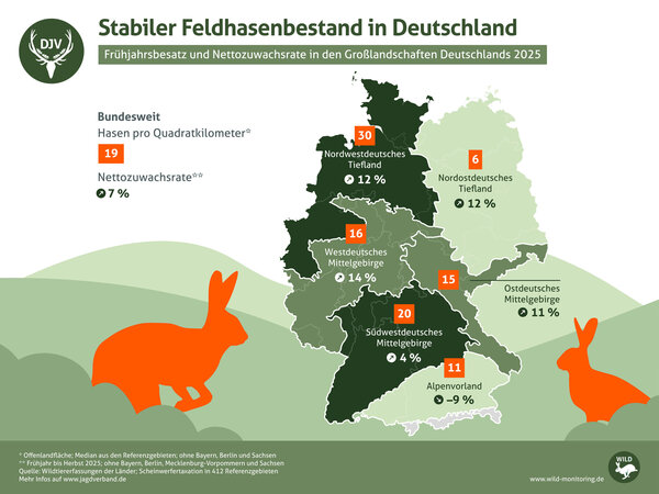 The figure shows the field hare population in Germany. Nationwide, there are 19 hares per square kilometre; the highest figure, at 30 hares per square kilometre, is found in the North-West German Lowlands.