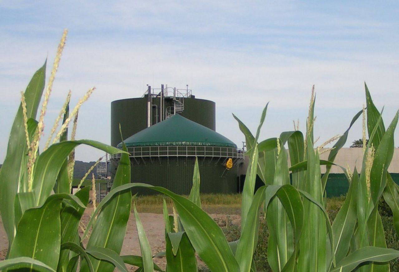 Biogasproduction in Germany