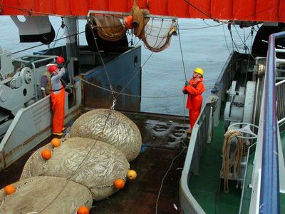 Ein Netz mit frisch gefangenem Fisch liegt an Deck des Fischereiforschungsschiffs Walther Herwig III