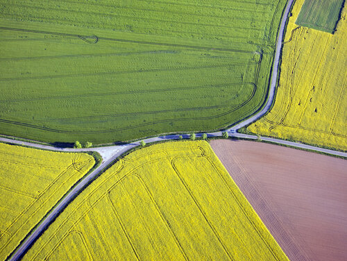Die GAP soll ab 2028 nachhaltiger und flexibler werden. Luftaufnahme von Feldern und Straßen