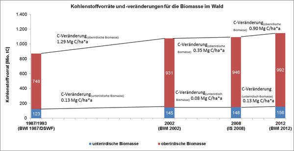 Veränderung der Biomasse zwischen den Inventurzyklen