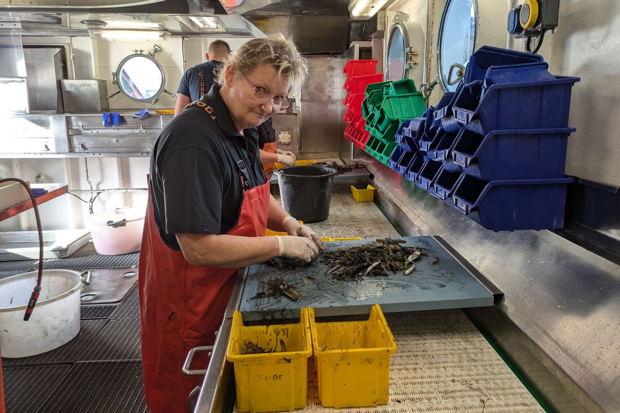 Kerstin bei der Feinsortierung der Krabben, hier werden kleine Fische, Quallen, Muscheln und Dreck aus den Krabben sortiert. Eine Frau steht vor einem Brett mit gemischtem Krabbenfang