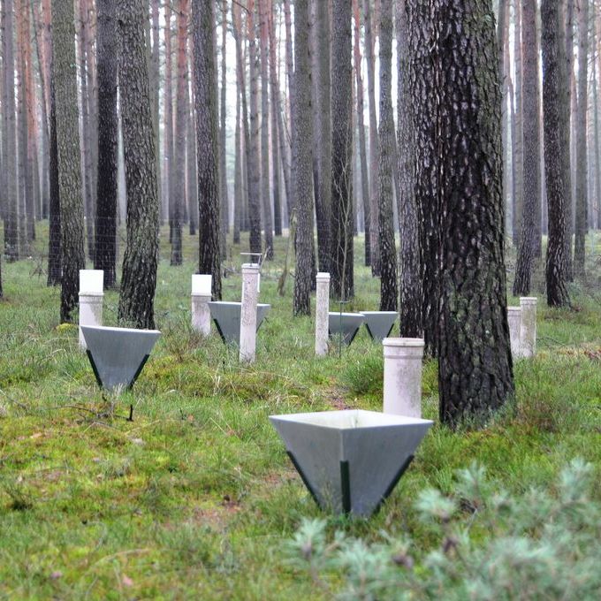 Litterfall traps and deposition samplers are distributed regularly across the intensive forest monitoring plots