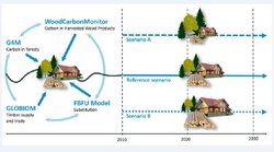 Climat protection through an increased utilization of wood