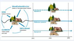 Szenarien zur Optimierung des Klimaschutzbeitrags im Forst-und Holzsektor der EU bis 2030 (ClimWood2030)