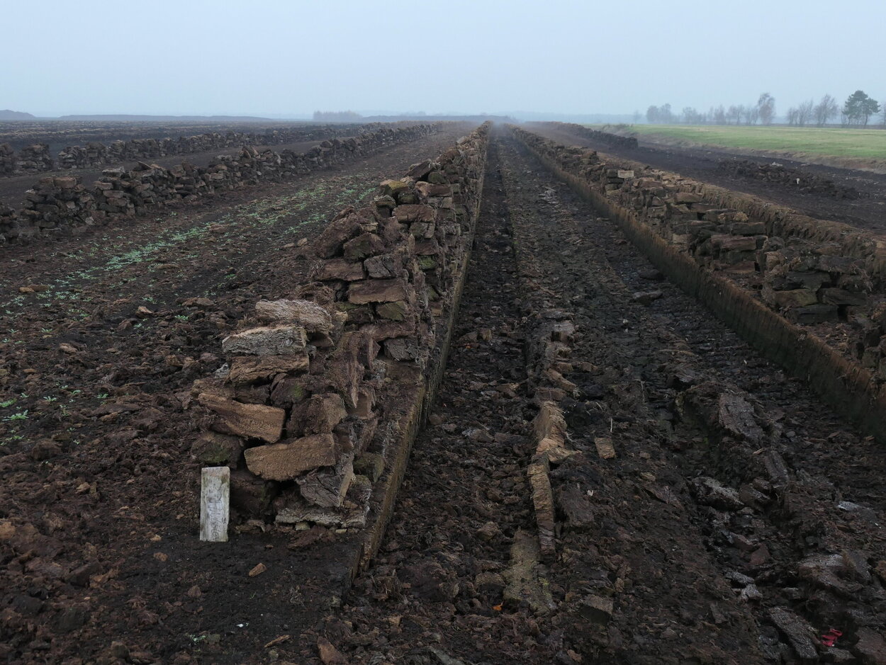 Ein Feld mit sehr dunkler Erde, die in Streifen abgebaut wird.