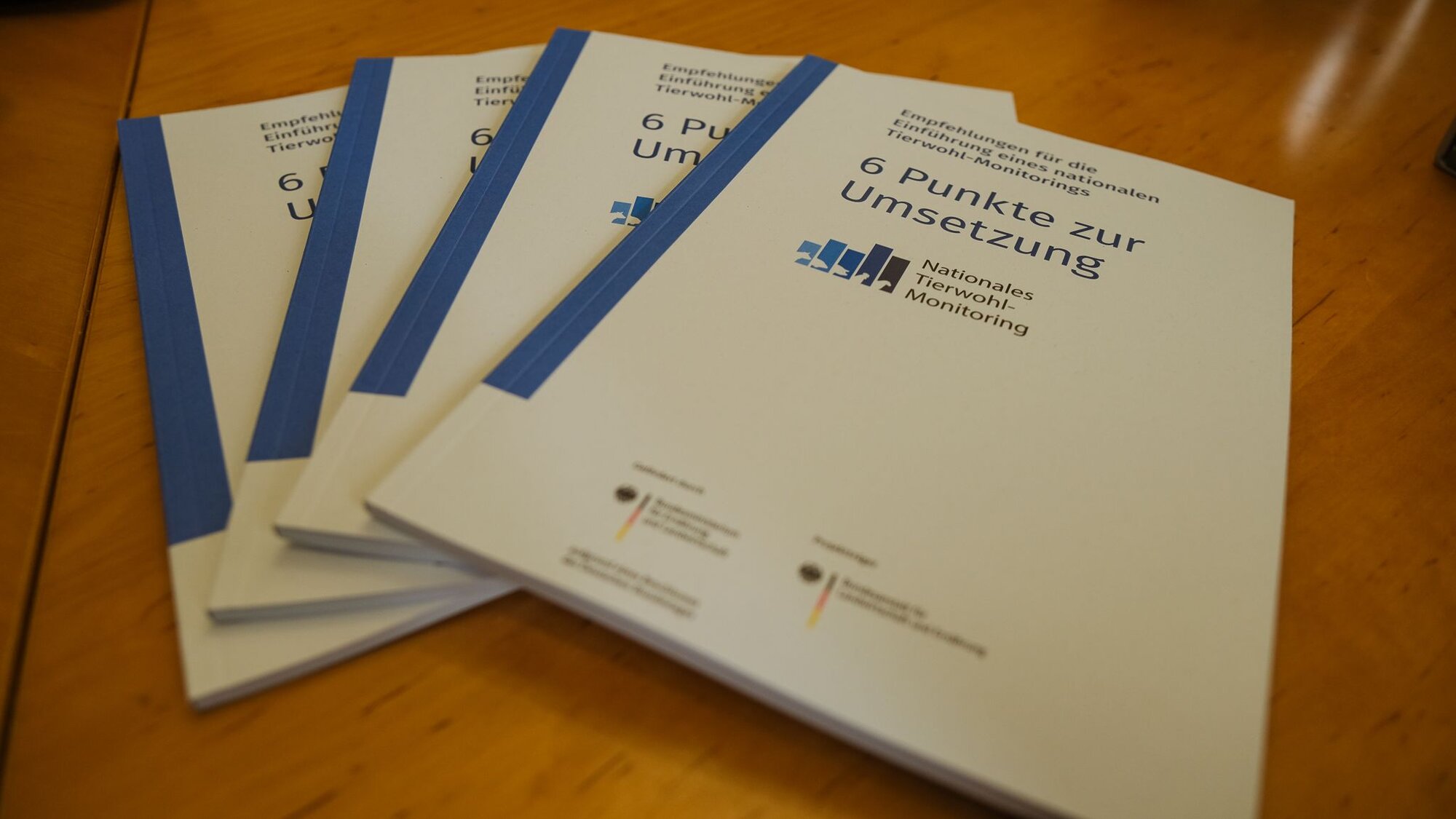 Das Bild zeigt 4 Exemplare der Broschüren mit den Umsetzungsempfehlungen.