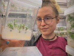 Die Frau im Hintergrund hält einen Kulturbecher in der Hand, in dem kleine grüne Buchen wachsen, und betrachtet diese Kultur.