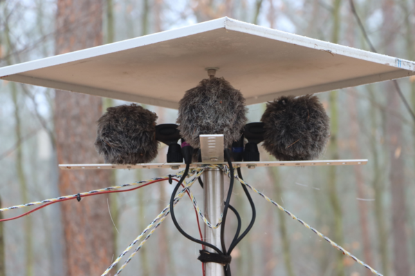 Sensors for recording bioacoustics in the Britz intensive care monitoring area. 