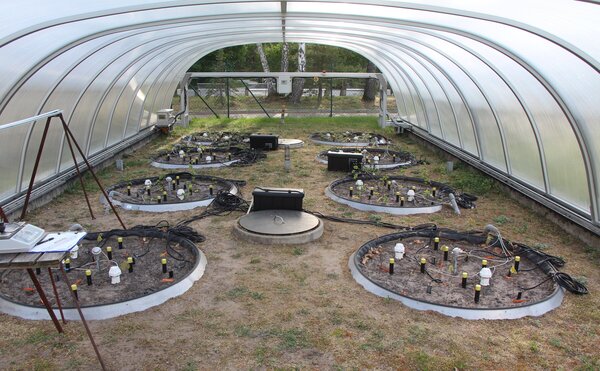 Drylab mit Lysimetern und automatischem Abdecksystem. Drylab mit Lysimetern und automatischem Abdecksystem.